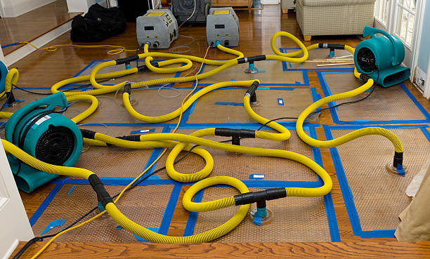 Professional Structural Drying And Dehumidification technician working in Peabody, KS