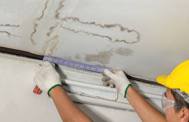 Affordable Structural Drying And Dehumidification solutions in Peabody, KS